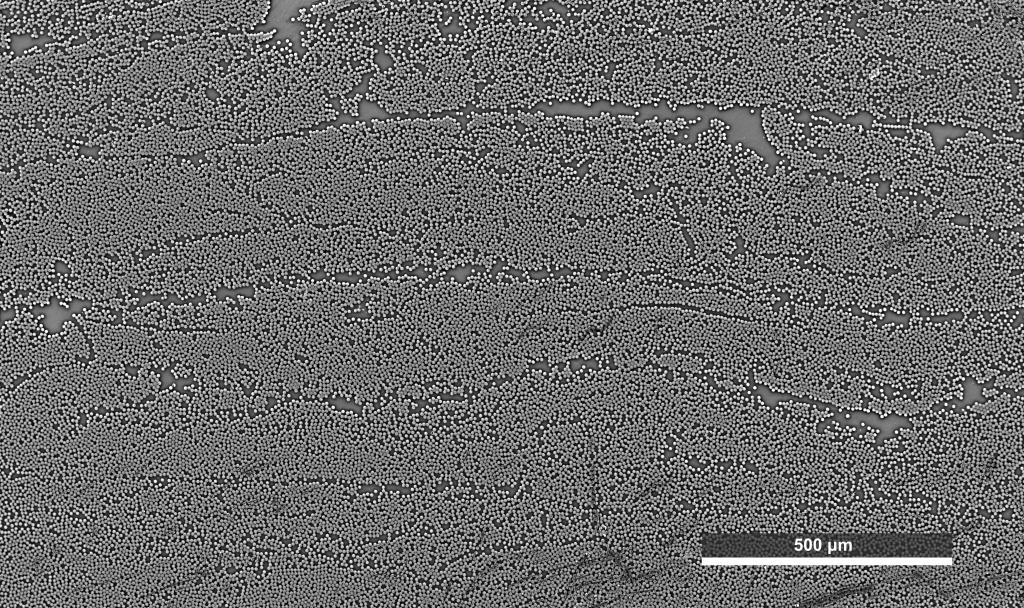Is it possible to characterize the linear viscoelasticity of an anisotropic carbon fibers reinforced thermoplastic polymer?